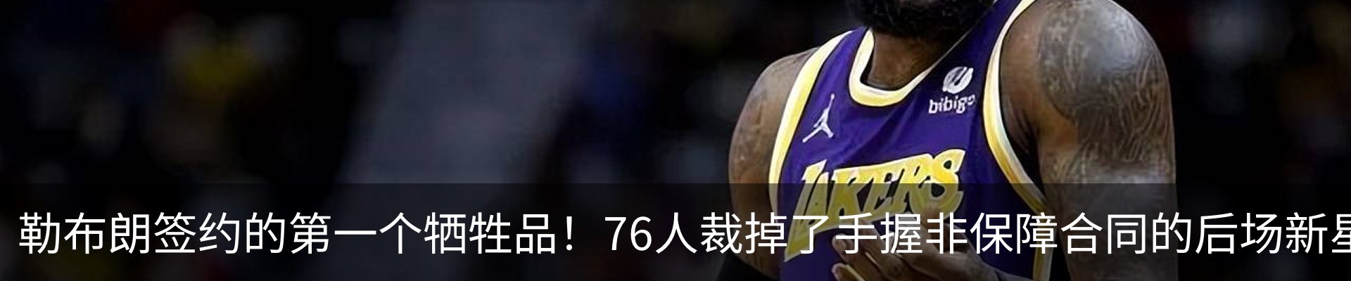 最新动态
