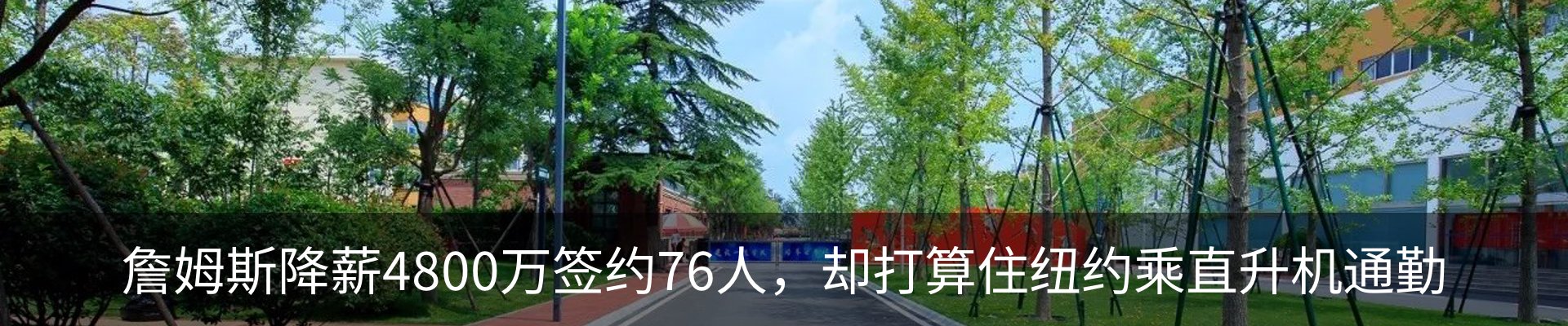 最新动态