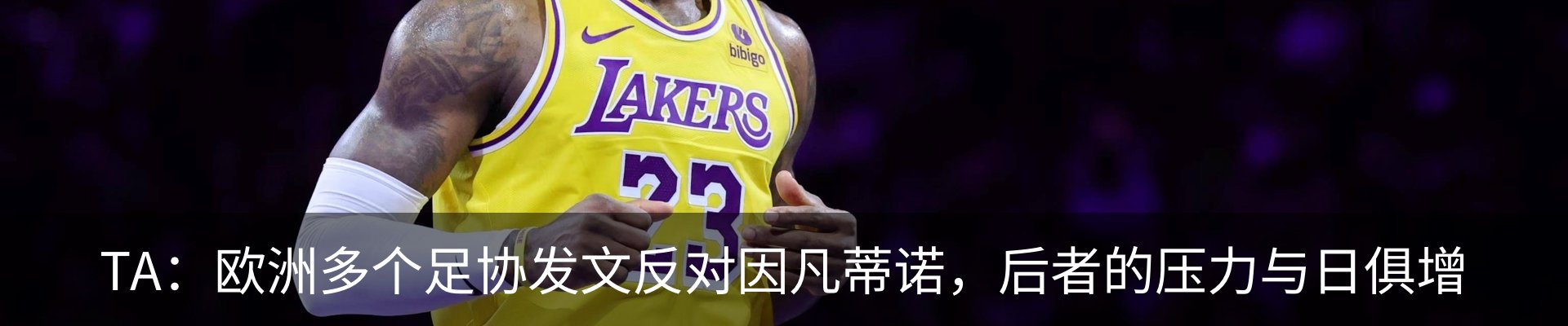 最新动态